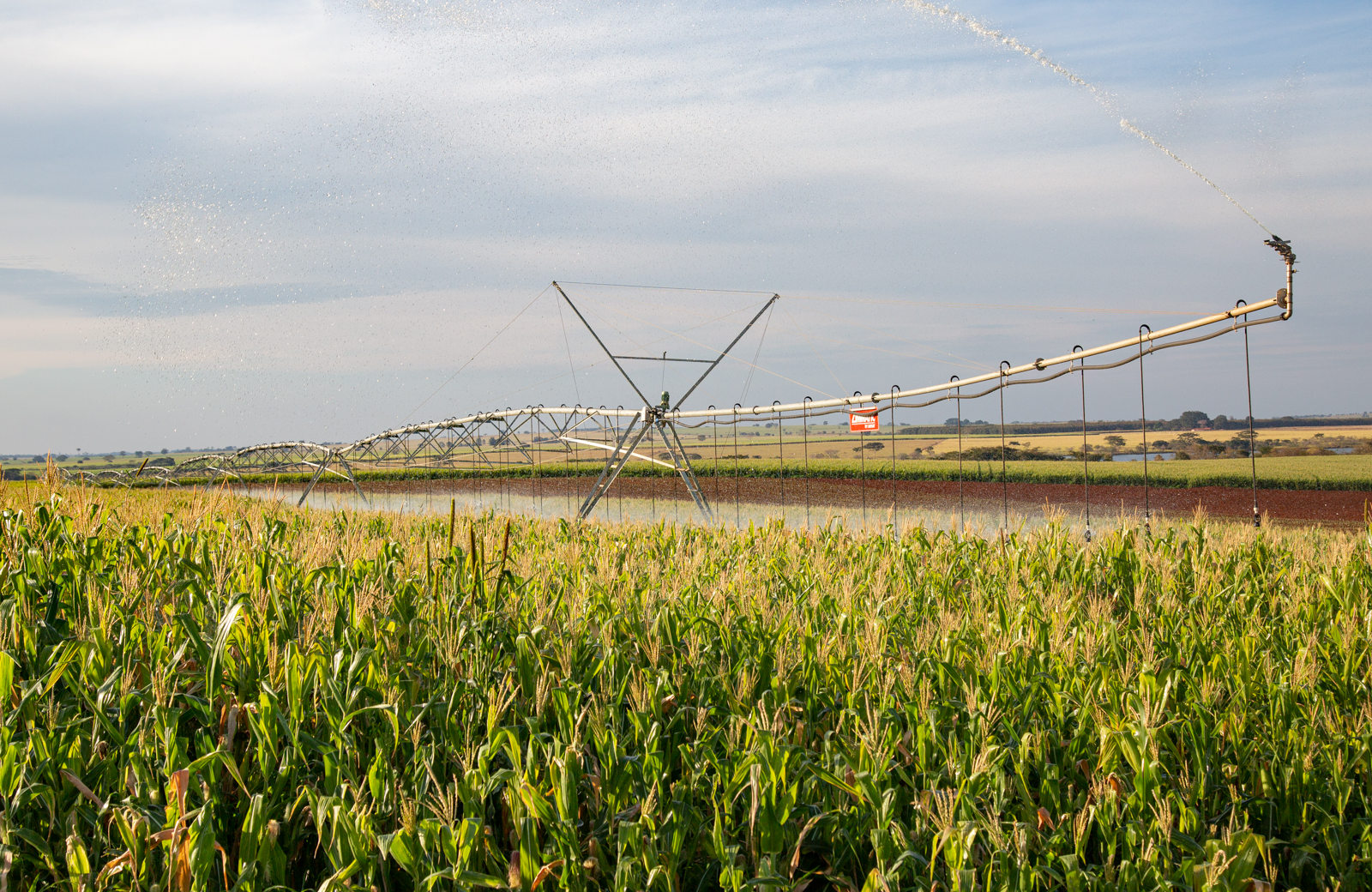Center pivot irrigation or drip irrigation: what’s the difference and which method should you use?